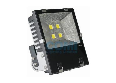 luzes de inundação 19459LM do diodo emissor de luz do túnel de 200W Brigdelux With100 - motorista 277VAC bom médio