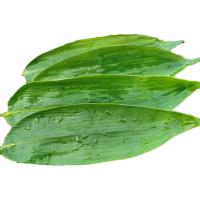 Le sushi du Japon plaque les feuilles en bambou sèches fraîches de vert de décoration