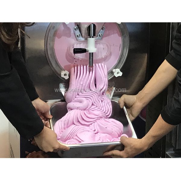 Professional Production and Sales of 30-35l/H Frozen Hard Ice Cream Puree Machinery