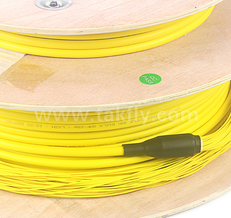 48-Core LC-LC Pre-terminated Breakout Patch Cord – High-Density, Custom Breakout Configurations (Bare Fiber / 0.9mm / 2.0mm / 3.0mm), for Data Center & Indoor/Outdoor Applications