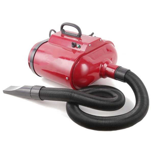 Souffleur à poils pour chien à double moteur 2800W Souffleur de toilettage pour chien personnalisé