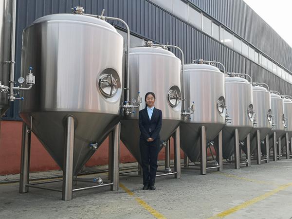 Stainless Steel Brewhouse Equipment , 20HL Steam Heated Beer brewing Equipment