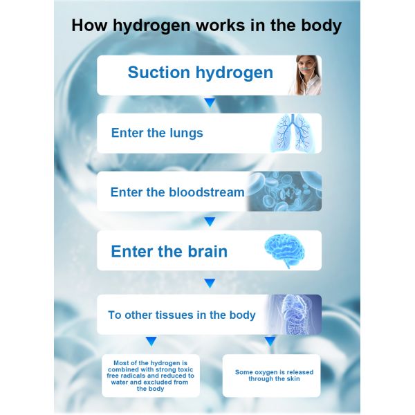 Hydrogen Generator SPE Hydrogen Suction Machine with Noise 25-65dB and Air Display