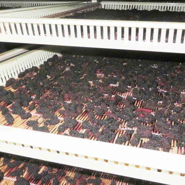 Commercial Codonopsis Pueraria Chips Food Cabinet Dryer Herb Heat Pump Dehydrator