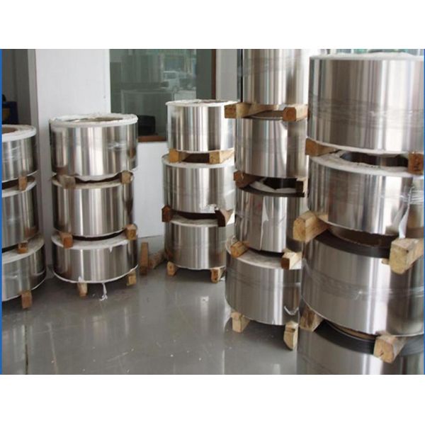 Stainless steel cable tie