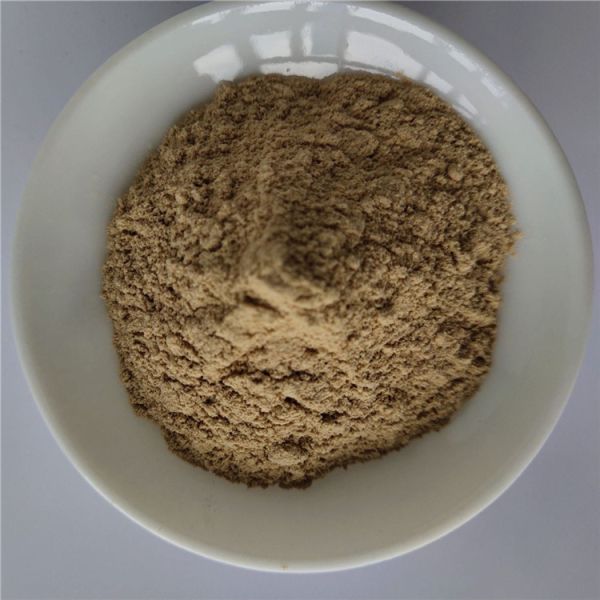 Chinese Dodder Seed Extract For Tonifying Kidney
