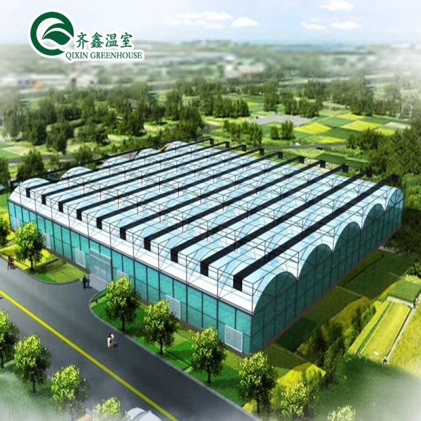 Customized Canada Tunnel Greenhouse Garden Tunnel with Glass or PC Sheet