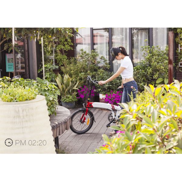 Manufacturer made Folding electric ebike 20