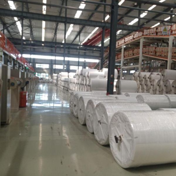 Factory Wholesale Customization Tree Free Water Free White Paper 168gsm 240gsm Waterproof Stone Paper