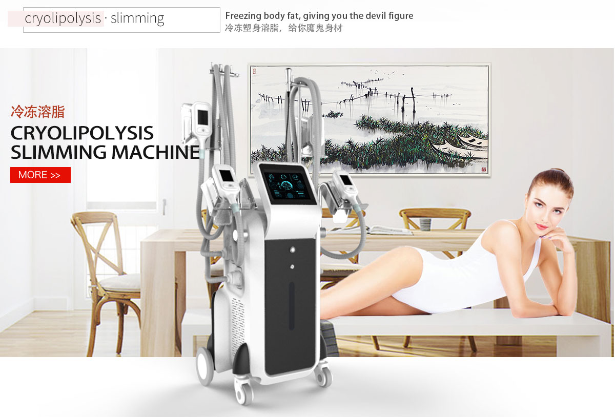 CE approval cryolipolysi slim weight loss machine fat freezing machine Christma Promotion