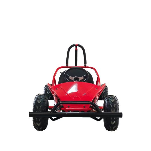 1000w Electric Go Kart Mini Dune Buggy for Kids 2WD Driving Type 1440*820*860mm