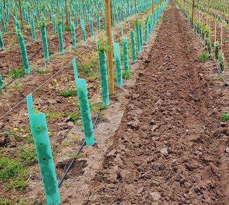 Waterproof Corrugated Plastic Tree Guards Wrap 2mm