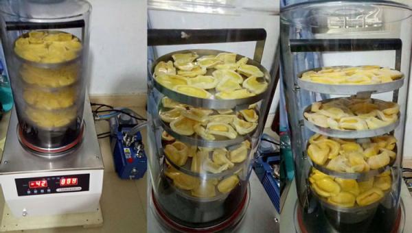 Laboratory Antibiotics Cucumber Vaccines Blood Enzyme Hormones Fruits Food Vacuum Vegetables Lyophilizer Freeze Dryer