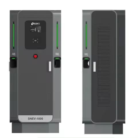 30kw 80kw 120kw 240kw Floor Mounted Electric Car Charging Pile with IP54 Control System