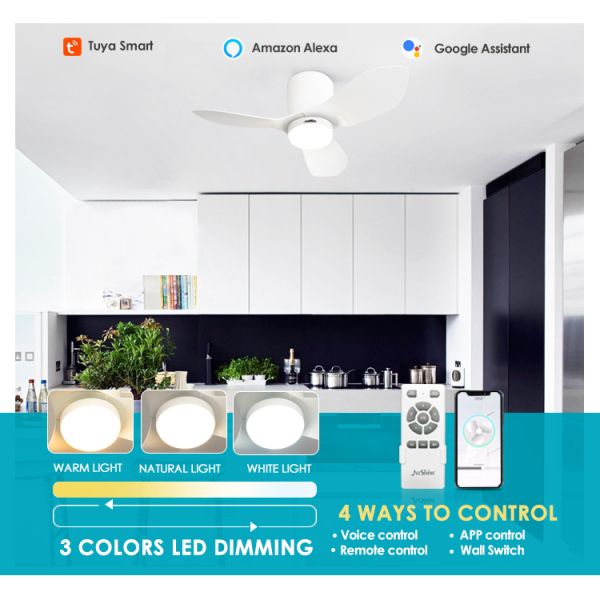 Pequeno Espaço Grande Impacto 36 