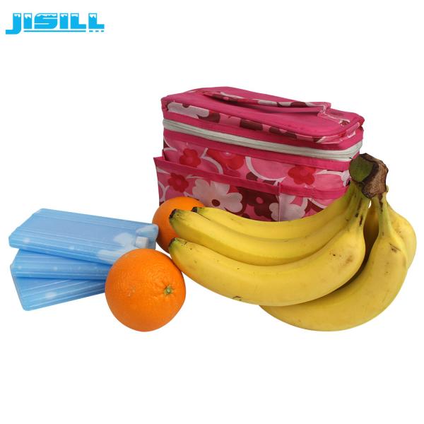 2 - 8 elementos refrigerantes do gel de C almoçam blocos de gelo para o armazenamento da temperatura do controle da medicina
