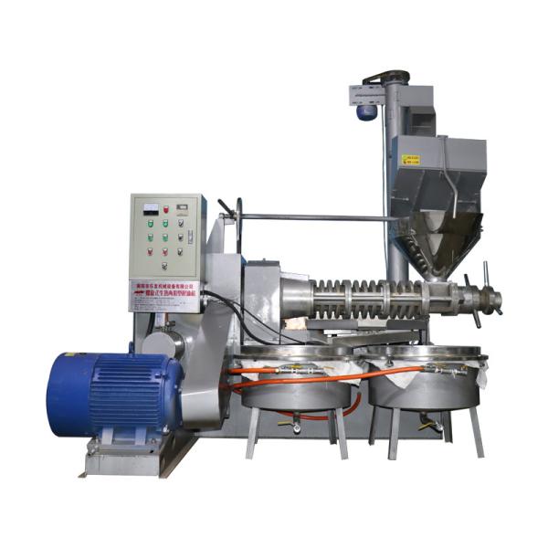 Máquina fria da imprensa de óleo da semente da mostarda do parafuso de máquina da fabricação do óleo da imprensa