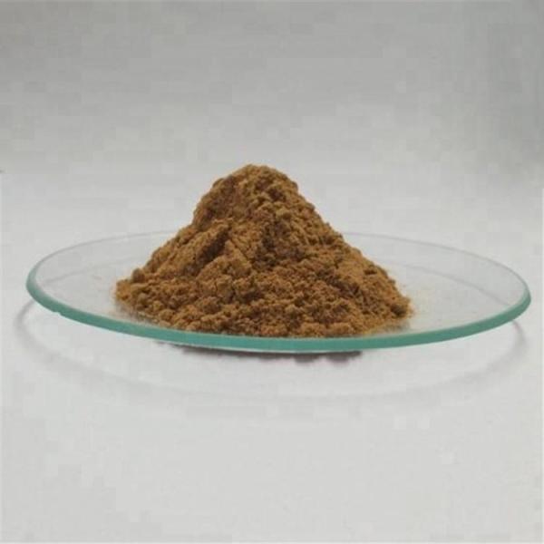 Radix Notoginseng P.E./Pseudo-ginseng/san qi Herbal Dietary Supplement