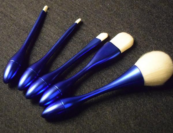 Beauty Cosmetic Full Makeup Brush Set Including 5 Pieces With Private Label
