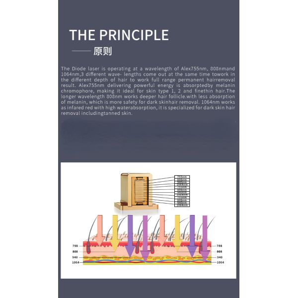 Stationary Vertical Painless Hair Removal Machine 600W Salon Hair Removal Equipment