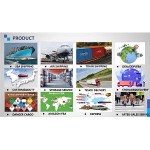 Global Link Logistics Ltd.