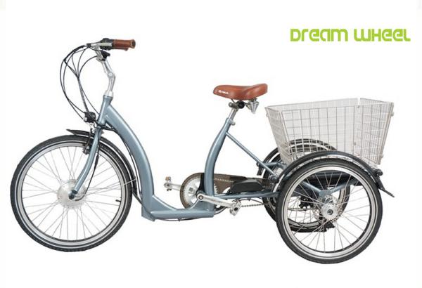 20km/H 35km Pedal Assist Adult Tricycle 36V 350W Motor