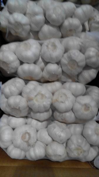 Fresh garlic export to Kuwait by Pioneer Garlic Group with 5.0-5.5 cm pure white garlic