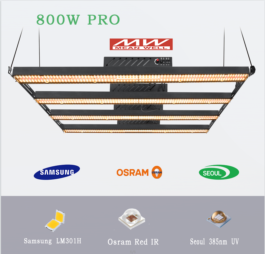 Приспособление товарного сорта инфракрасн 385nm 800W BAVA Dimmable LM301H 3000k красное значительно красное