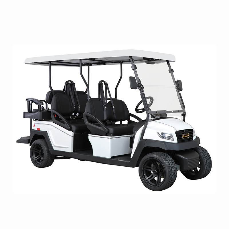 4+2 Person Luxury Electric Golf Cart Featuring Intelligent Onboard Charger