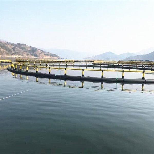 Material Handling Machinery Fish Farming Cage 250.00cm * 110.00cm * 6.80cm Package for Aquatic