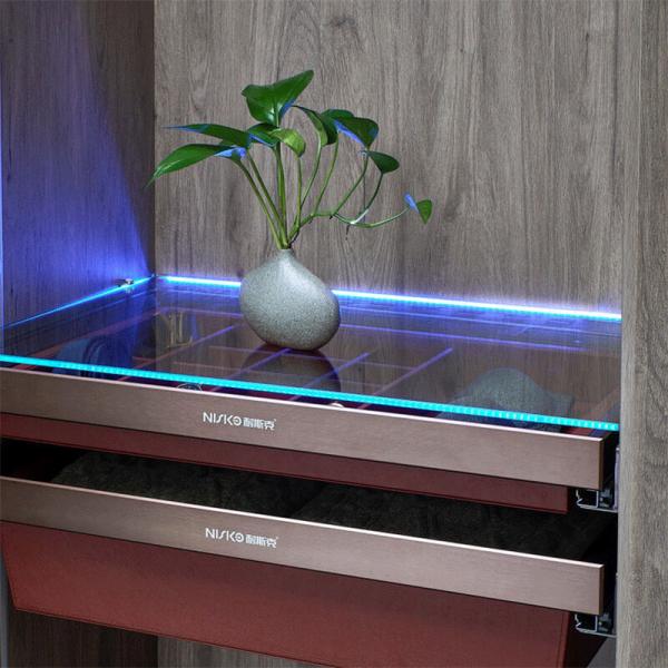 Luz LED LED LED LED LED de la pantalla del estante de vidrio inteligente DC12V