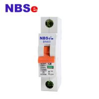 Disjoncteur micro de plastique ignifuge de BN60 10KA
