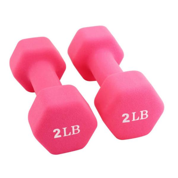 Cast Iron Neoprene Fitness Dumbbell Vinyl Dipped Dumbbells For Weight Exercise