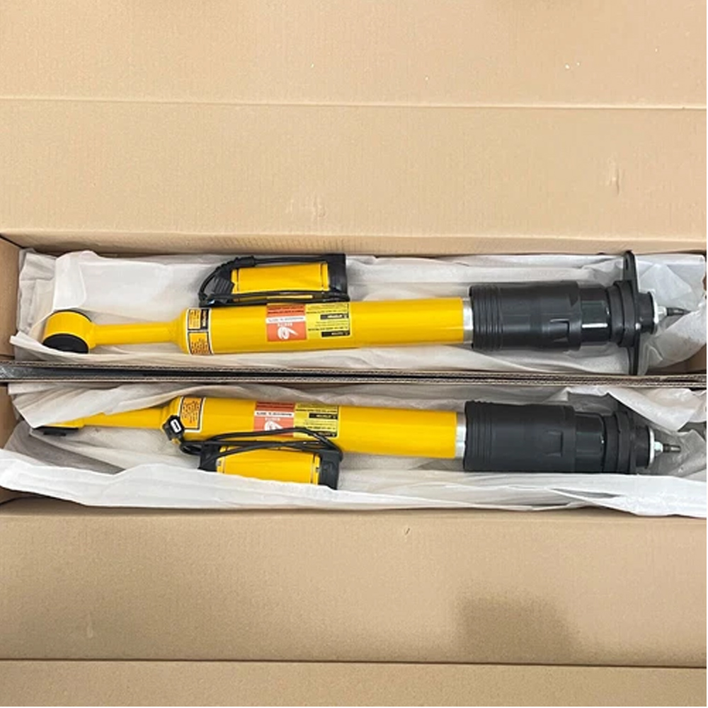 Rear Shock Absorber Struts for 2012-2023 Dodge Challenger Charger SRT SXT GT R/T Suspension Chassis Parts Supplier