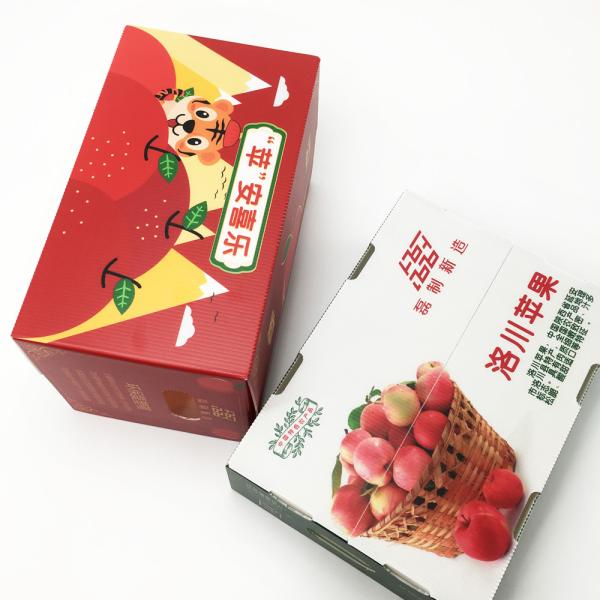 Multi Colour CMYK Corrugated Plastic Packaging Boxes Freezing Shortage