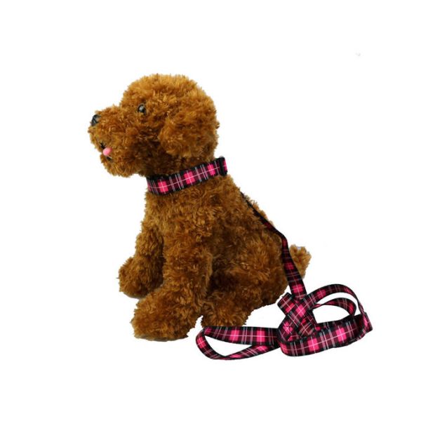 Bright Dog Lead And Collar Set Adjustable 30-48cm Buckledown Dog Collars