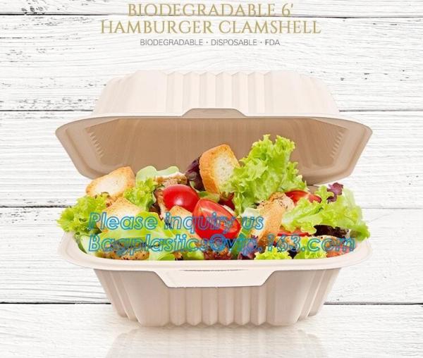 Catering Eco-Friendly Container Compartment Starch lunch Meal Box, Disposable Takeaway Packaging, Takeout