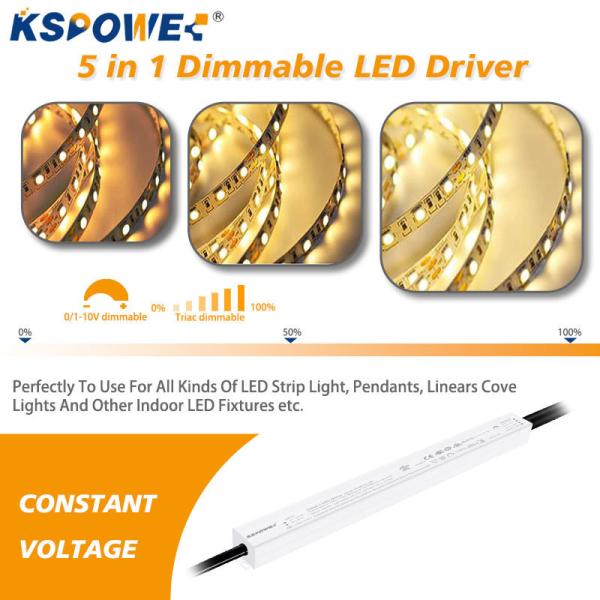 12V 60W Phase Cut Triac Dimmable LED Driver 24V 36V 48V Waterproof LED Driver