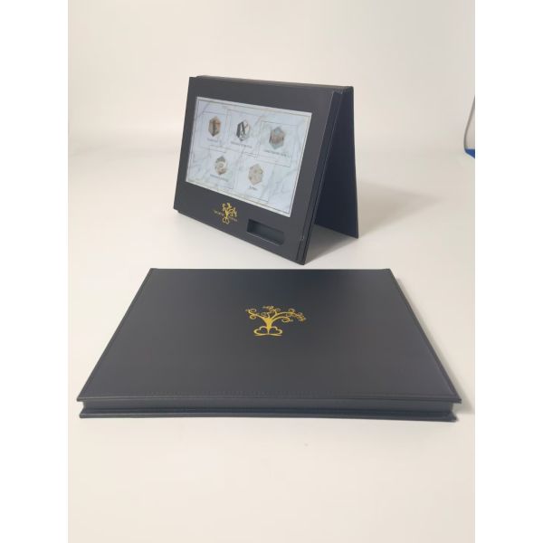 Tarjeta promocional de folleto de vídeo de alto impacto para empresas 128MB