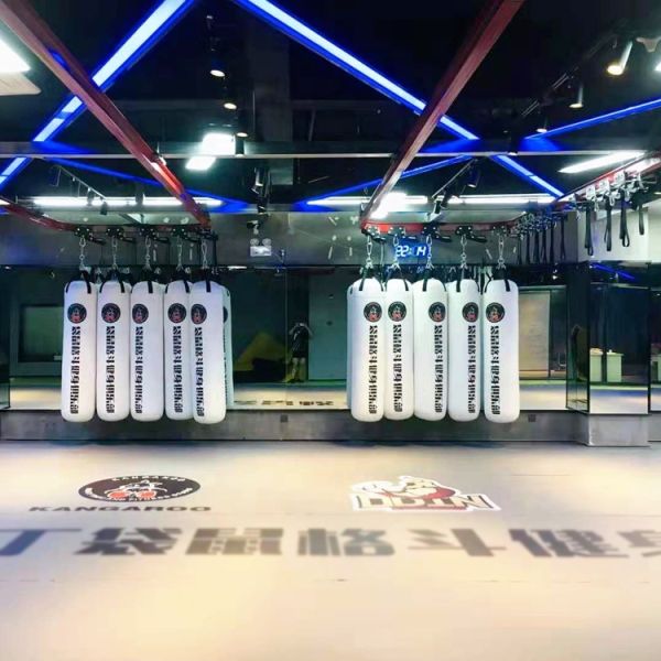 Ceiling Mount Boxing Heavy Bag Rack Movable Top Mounted Rail Punching Bag Rack