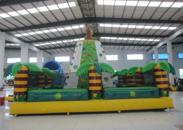 Kids / Adults Sports Games Inflatable Rock Climbing Wall 7 X 7 X 5m Fire Resistant