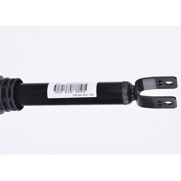 Bentley Continental Rear 3W0616039T Shock Strut Assembly