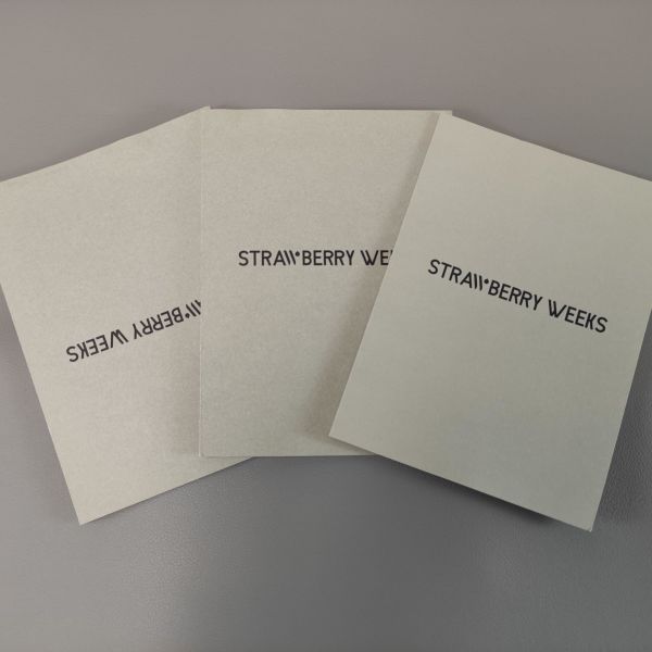 Custom Design Folded Instruction Booklet Different User Manual Printing