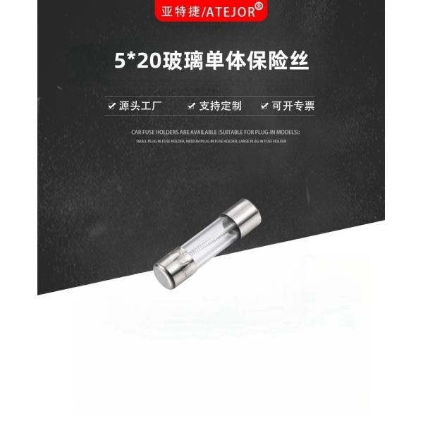 520 Glass Tube Fuse