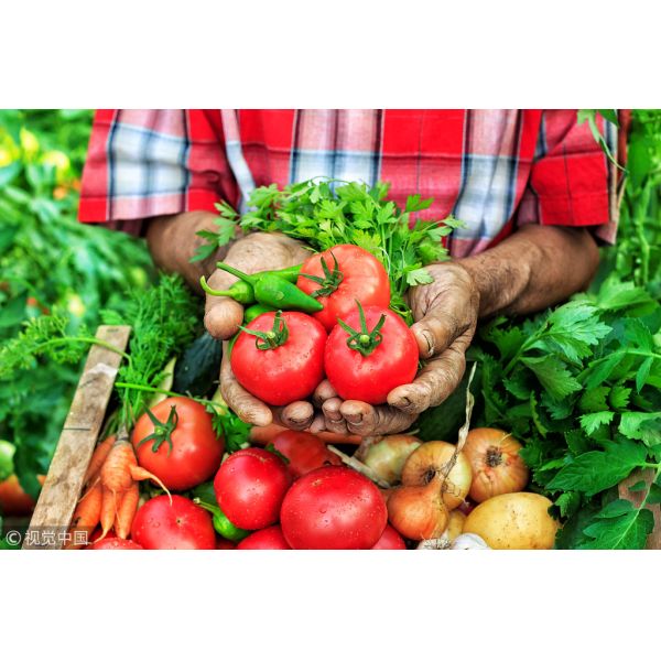 NaturaGrow 16% Organic Nitrogen Amino Acid Fertilizer - OMRI/USDA Certified & 100% Water-Soluble Plant-Sourced Fertilizer