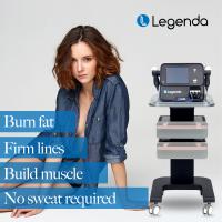 máquina da terapia da máquina 300W Tecar de Legenda do poder superior 448hz