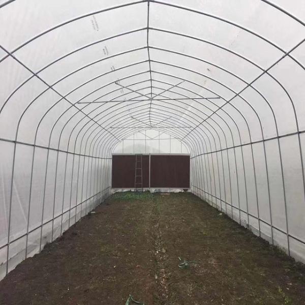Estufa galvanizada do período do filme do PE única para vegetais 9x30m