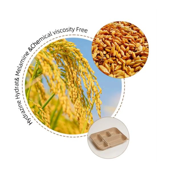 Boîte à manger en fibre de riz biodégradable à usage unique Contenant à emporter compostable Emballage alimentaire écologique