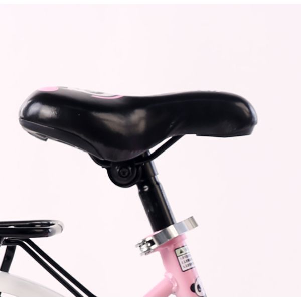 Rust Resistant Chain Aluminum Alloy Childrens Bikes Double Wall Alloy Rim Single Speed