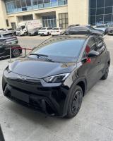 2025 305km Freedom Edition BYD New Energy Electric Vehicle Seagull 4 Seaters